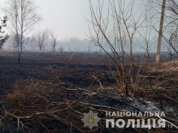 Причиной пожара в Чернобыльской зоне стали окурки, брошенные "черными археологами" - Нацполиция