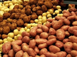 Специалист сообщила, картофель какого цвета самый полезный