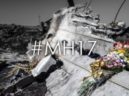 Семья погибшего в аварии MH17 американца Шенсмена подала в суд на "Сбербанк", ВТБ, Western Union и MoneyGram
