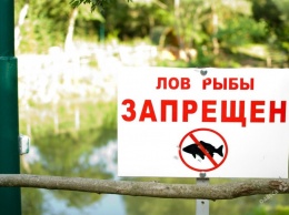 На водоемах в Одесской области вводится «период тишины»