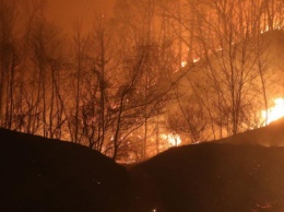 В Южной Корее объявили чрезвычайное положение из-за масштабного лесного пожара