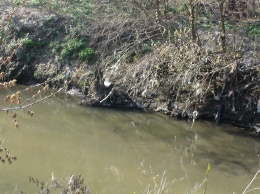 Много хлама, грязная вода: гидролог рассказал о состоянии рек в Украине