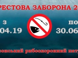 В апреле на Херсонщине начался нерестовый запрет на вылов рыбы