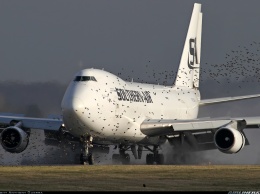 ЧП произошло в столичном аэропорту, "бомба в самолете с россиянами": срочная эвакуация