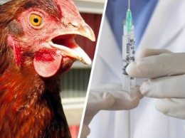 «Антибиотики в мясе - зло!»: Научный журналист развенчал данный миф, успокоив россиян