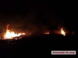 В Николаеве опять палят камыш у реки в черте города