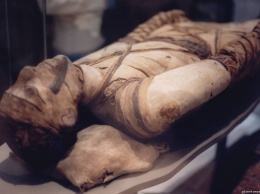 Археологи обнаружили десятки мумий в древней гробнице: "сенсационная находка"