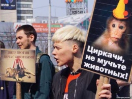 Зоозащитники Днепра провели акцию против цирка с животными
