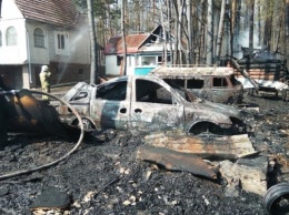 На Житомирщине погибли супруги, сжигавшие траву возле своего дома