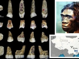 В Китае нашли зубы неизвестного предка человека