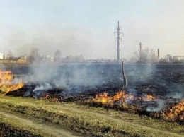 В Черниговской области за сутки произошло 86 пожаров