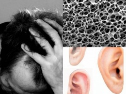 Непобедимый грибок из уха угрожает всему человечеству - Ученые