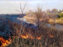 Экологи бьют тревогу: на Днепропетровщине сжигание травы убивает животных и людей