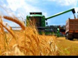 Украинские аграрии обеспечены удобрениями на 100% - Минагрополитики