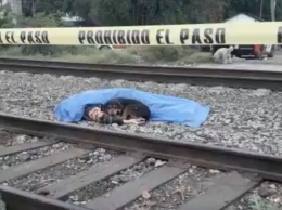 Преданная собака охраняла тело погибшего хозяина