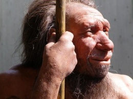 Ученые нашли сходные генетические черты у мамонтов и неандертальцев