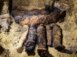 Археолог дотронулся к мумии жреца бога магии: страшные последствия попали на видео