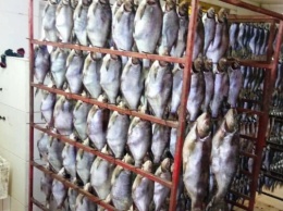 На Днепропетровщине закрыли нелегальное производство копченой рыбы