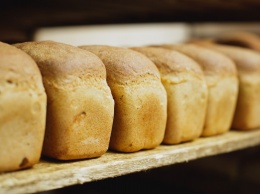 Тысячу выброшенных буханок хлеба нашли на международной трассе: «такое видят впервые»