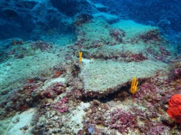 У берегов Турции нашли затонувший корабль времен Бронзового века