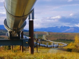 В Беларуси заявили о необходимости перекрыть нефтепровод из РФ: названа причина