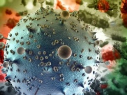 Грибковая инфекция может унести жизни более 10 млн человек