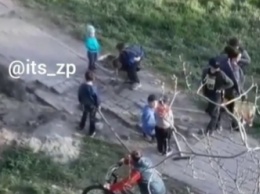 "Респект родителям": в Запорожье дети чинили тротуар после коммунальщиков (Видео)