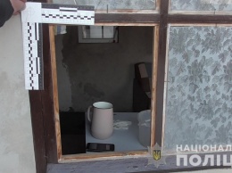 В Тарутинском районе ограбили пенсионерку, унеся деньги и ружье