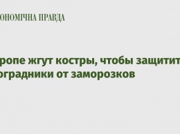 В Европе жгут костры, чтобы защитить виноградники от заморозков