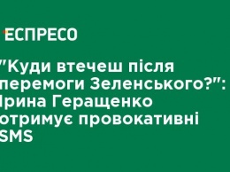 "Куда убежишь после победы Зеленского?": Ирина Геращенко получает провокационные SMS