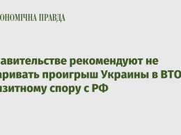 В правительстве рекомендуют не оспаривать проигрыш Украины в ВТО по транзитному спору с РФ