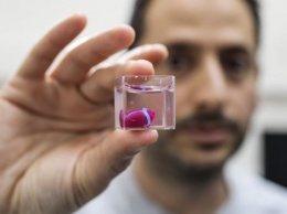 Модель человеческого сердца впервые напечатали на 3D-принтере