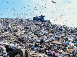 Жители Днепра требуют убрать "царство мусора" в центре города, - ФОТО