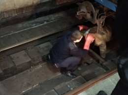 На станции метро "Научная" мужчина прыгнул под поезд, - ФОТО