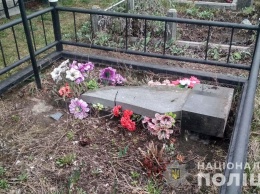 Банда пьяных малолеток устроила погром на кладбище под Киевом