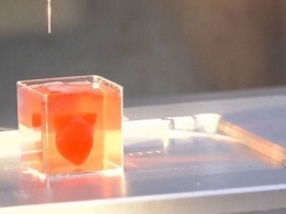 Ученые впервые напечатали на 3D-принтере сердце из клеток человека