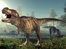 Детеныша тираннозавра выставили на торги: палеонтологи возмущены