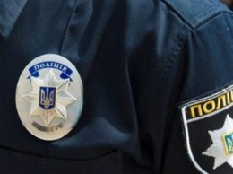 Одели наручники и пытали. В Запорожской области грабители избили хозяйку дома