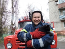 В Вольногорске четверо спасателей снимали дворового кота с дерева