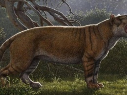 Палеонтологи описали новый вид древних гигантских хищников