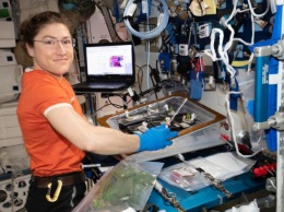 Кристина Кох станет вторым астронавтом, который проведет в космосе почти год