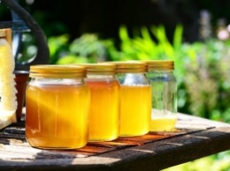 Мед с водой: раскрыты полезные свойства напитка
