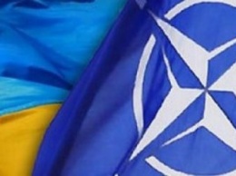 Турция, Польша и Румыния поддержали вступление Украины в НАТО