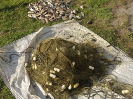 В Запорожской области браконьер выловил десятки килограмм рыбы сеткой