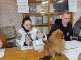 Выборы-2019: на избирательных участках Киева не хватает бюллетеней