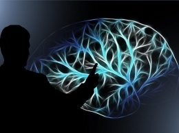 Ученые обнаружили неизвестный участок в человеческом мозге: открытие, которое изменит историю