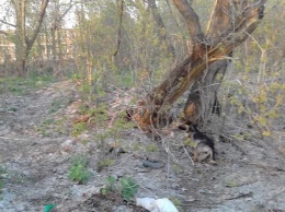«Дети пытались перерезать веревку и спасти повешенного»: страшный случай в Харьковской области (фото 18+)
