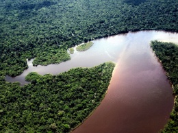 NASA показало, как уменьшилась площадь лесов в Перу за 5 лет