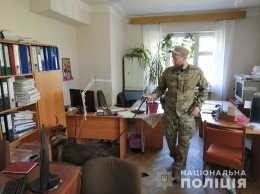 «Заминированные» здания Харькова: полицейские проверили 40 тысяч квадратных метров, - ФОТО