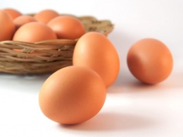 Ежедневное употребление яиц: какие могут быть последствия